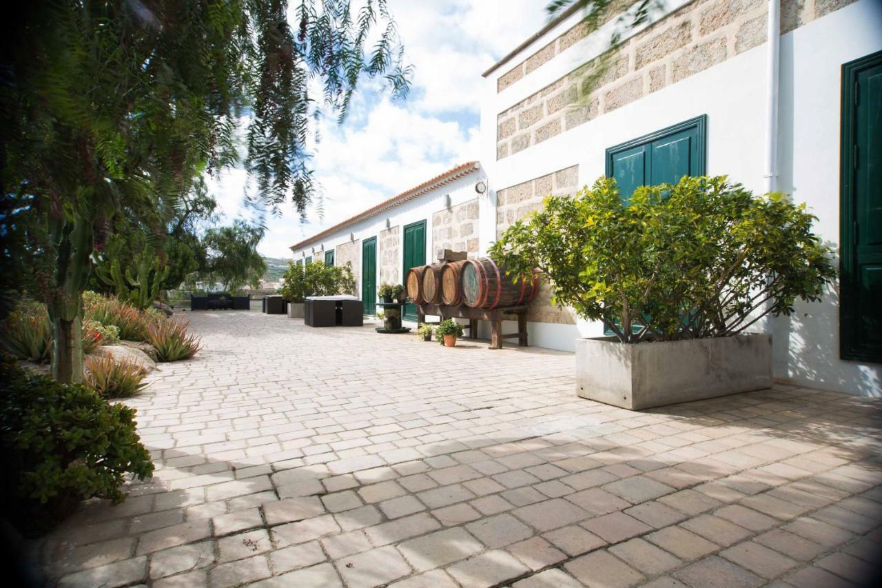 La Malvasia Arico Viejo Exteriör bild